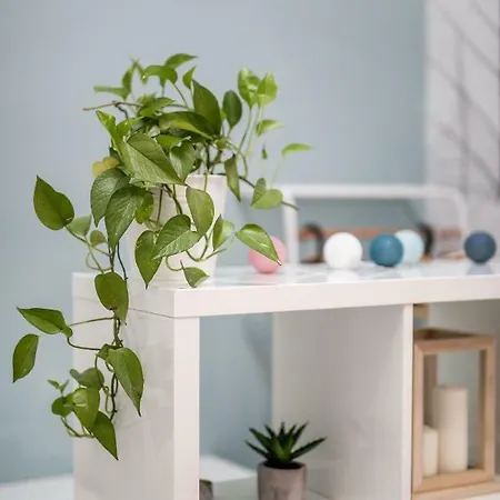 アパート Sunlit Forest In The Centre ブダペスト