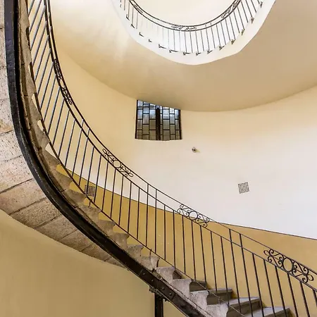 Sunlit Forest In The Centre